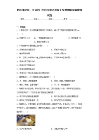 四川省泸县一中2022-2023学年八年级上学期期末模拟物理试题(含答案)