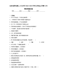 山东省青岛第三十九中学2022-2023学年九年级上学期12月期末物理试题(含答案)