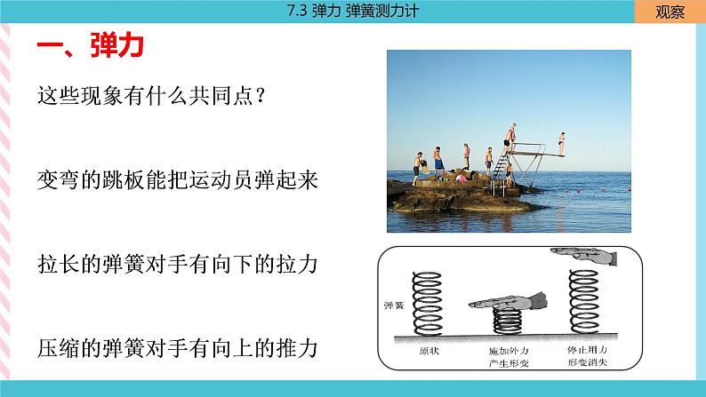 7.3 弹力 弹簧测力计  课件04