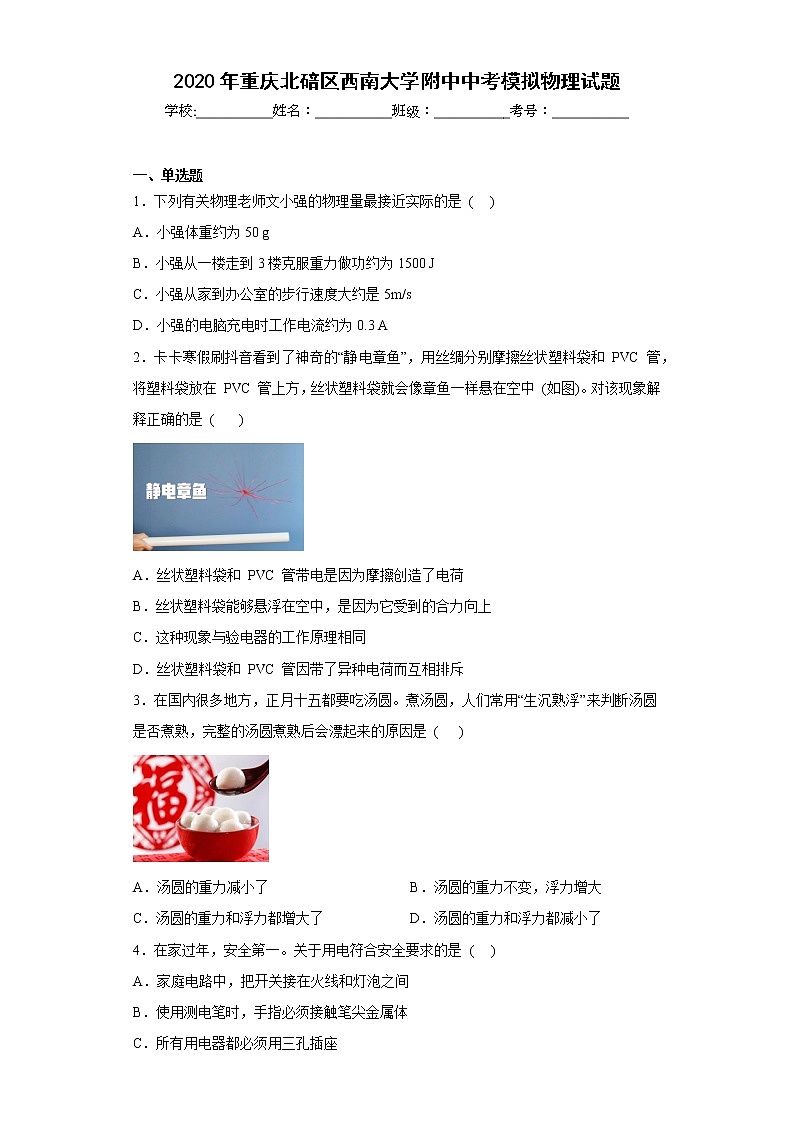 2020年重庆北碚区西南大学附中中考模拟物理试题第1页