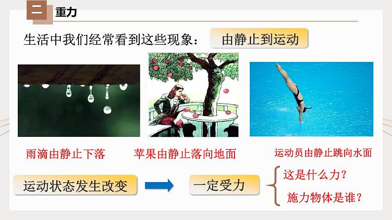 1人教版八年级物理下册7.3重力（课件）第3页
