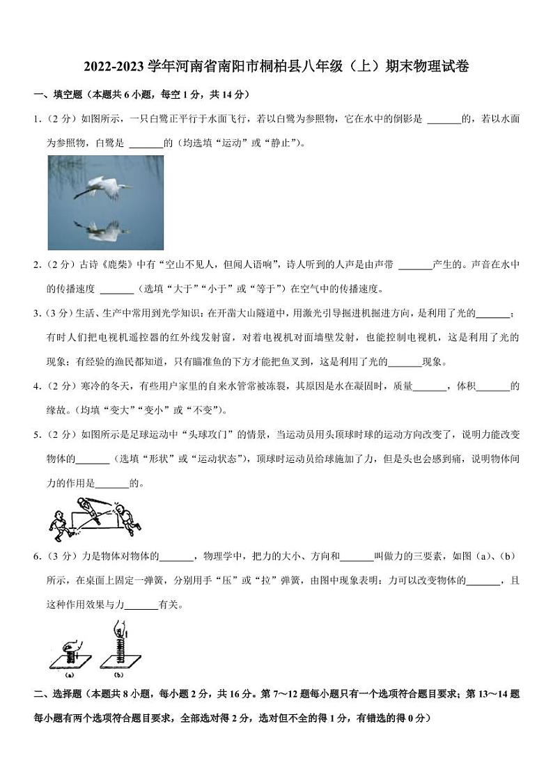 河南省南阳市桐柏县2022-2023学年八年级上学期期末物理试卷01