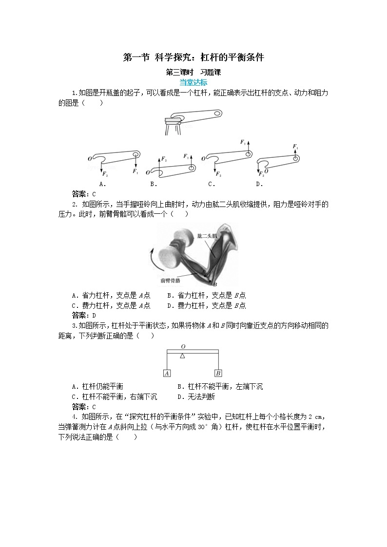 10.1.3 科学探究：杠杆的平衡条件 第3课时（课件+教案+练习）01