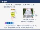 人教版八下物理  9.2 液体的压强  课件+教案+导学案+同步练习+内嵌视频