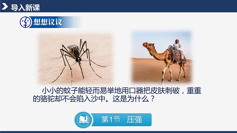 9.1   压强    课件第5页