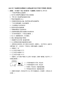 2022年广东省惠州市惠城区大亚湾金澳中英文学校中考物理三模试卷(含答案)