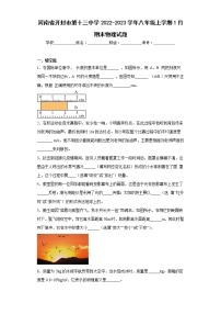 河南省开封市第十三中学2022-2023学年八年级上学期1月期末物理试题(含答案)