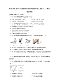 广东省深圳市盐田外国语学校2022-2023学年八年级上学期期中物理试题