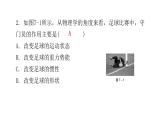 人教版八年級(jí)物理下冊(cè)1-第七章水平訓(xùn)練課件
