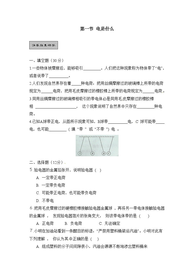 《电是什么》同步练习2第1页