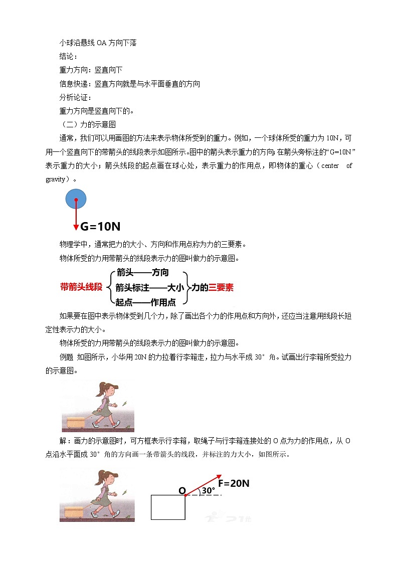 8.2  重力   力的示意图  教案第3页