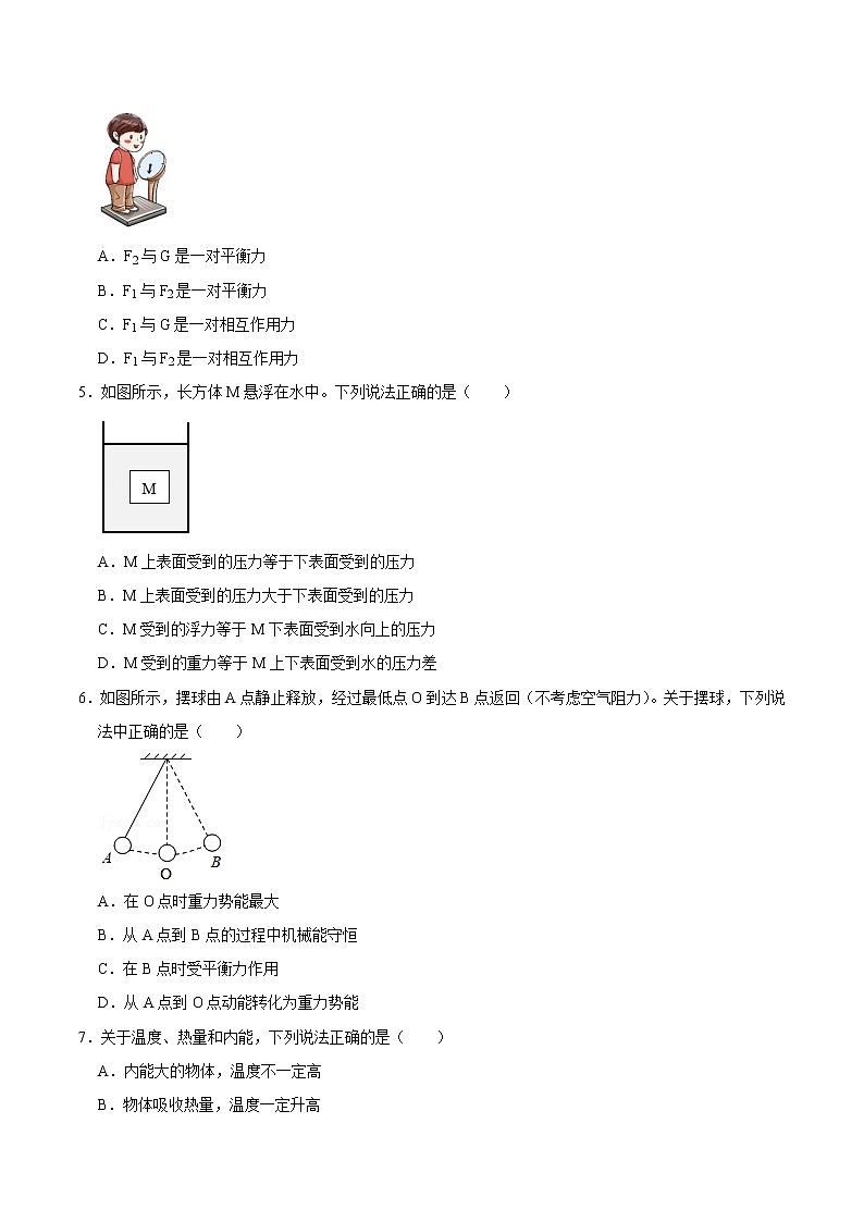 物理-2022-2023学年九年级下学期开学摸底考试卷C(成都专用)02