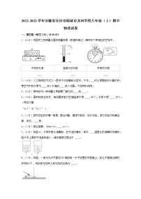 安徽省安庆市桐城市龙河初级中学2022-2023学年八年级上学期期中物理试卷(含答案)