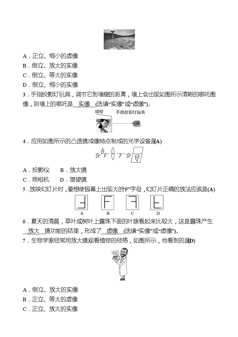 第五章  第2节  生活中的透镜 同步练习 （教师版）2022-2023 人教版物理 八年级上册第2页