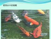 滬科版八年級(jí)物理：4.3 光的折射（課件+教案+學(xué)案+練習(xí)） （4份打包）
