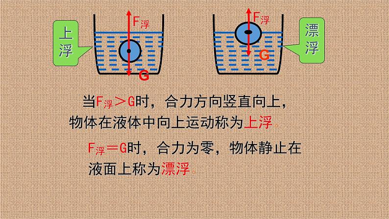 沪科版八年级物理 第九章 9.3 物体的浮与沉（课件+教案+学案+练习+素材）04