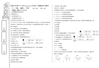 新疆乌鲁木齐市第111中学2022-2023学年八年级上学期期末物理试题(含答案)