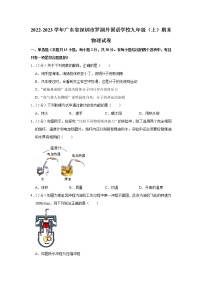 广东省深圳市罗湖外国语学校2022-2023学年九年级上学期期末物理试题