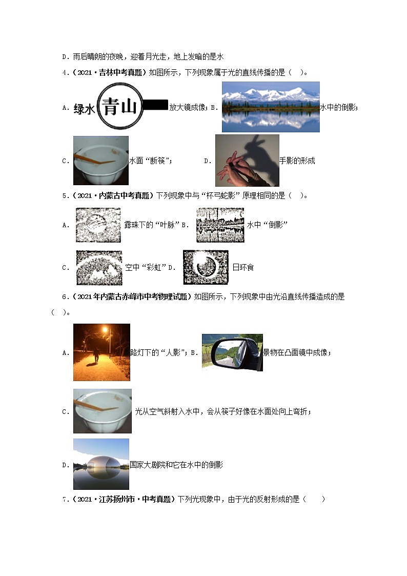 初中物理中考复习 第二单元  光现象【真题训练】-2022年中考物理一轮单元复习过过过（全国通用）（原卷版）02