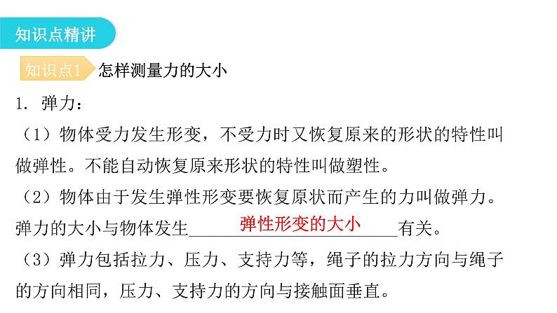 粤教沪科版八年级物理下册6-2怎样测量和表示力课件第5页