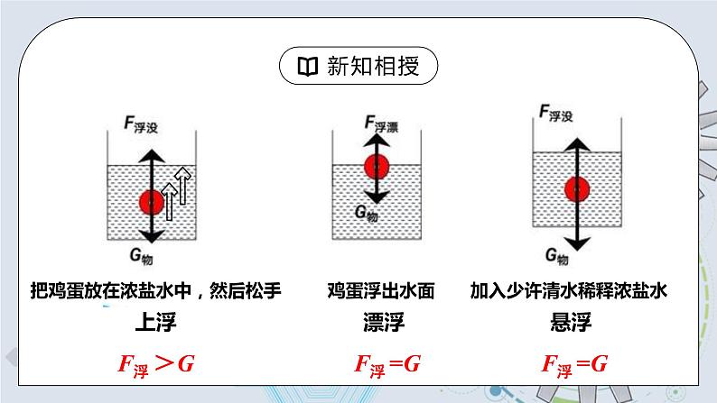 10.3 物体浮沉条件及其应用 课件+素材 人教版八年级下册精品同步资料（送教案练习）06