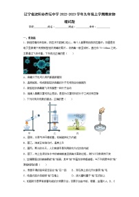 辽宁省沈阳市杏坛中学2022-2023学年九年级上学期期末物理试题