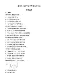 初中物理中考复习 精品解析：2020年山东省泰安市中考物理试题（原卷版）