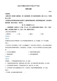 初中物理中考复习 精品解析：2020年山东省潍坊市中考物理试题（解析版）