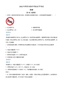 初中物理中考复习 精品解析：2022年山东省枣庄市中考物理试题（解析版）