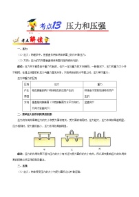 初中物理中考复习 考点13 压力和压强-备战2019年中考物理考点一遍过