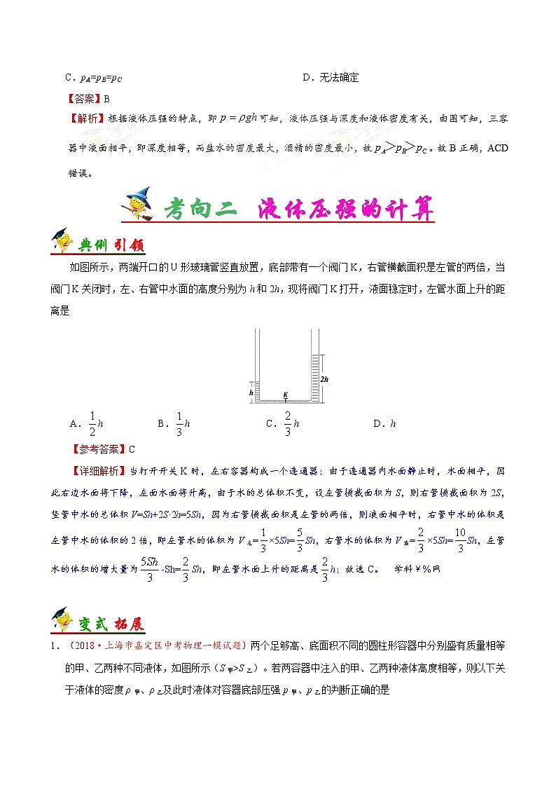 初中物理中考复习 考点14 液体压强-备战2019年中考物理考点一遍过第3页