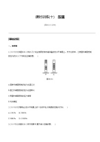 初中物理中考复习 课时训练10 压强