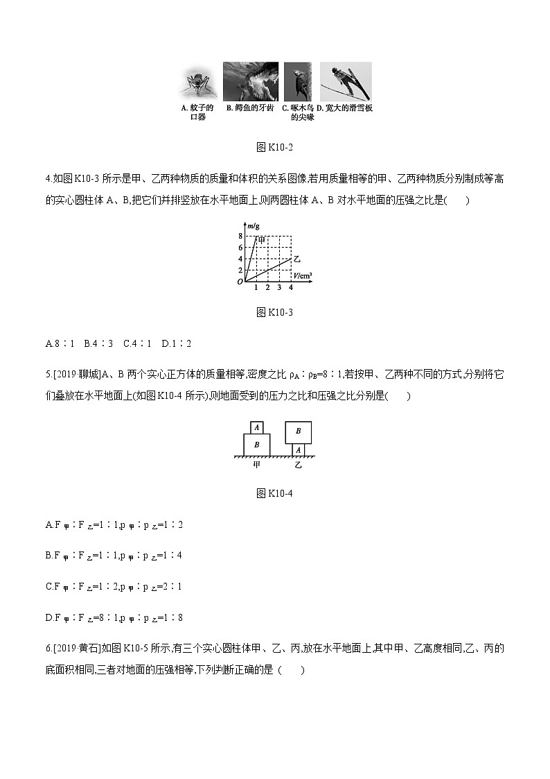 初中物理中考复习 课时训练10 压强02