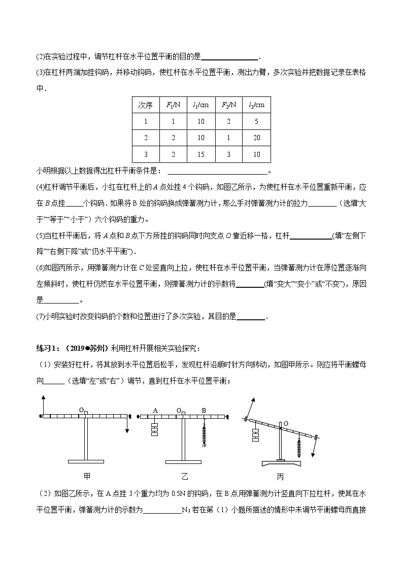 初中物理中考复习 实验15 探究杠杆平衡条件的实验（原卷版）03