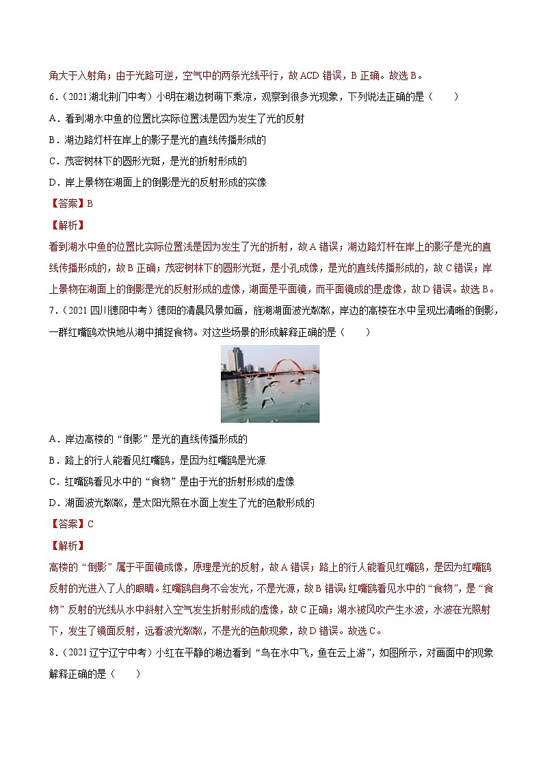 初中物理中考复习 专题4 光现象 真题强化训练（解析版）第3页