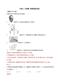 初中物理中考复习 专题6 光现象 易错题型训练（解析版）