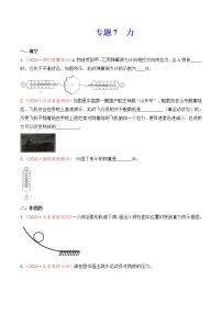 初中物理中考复习 专题7  力（原卷版）