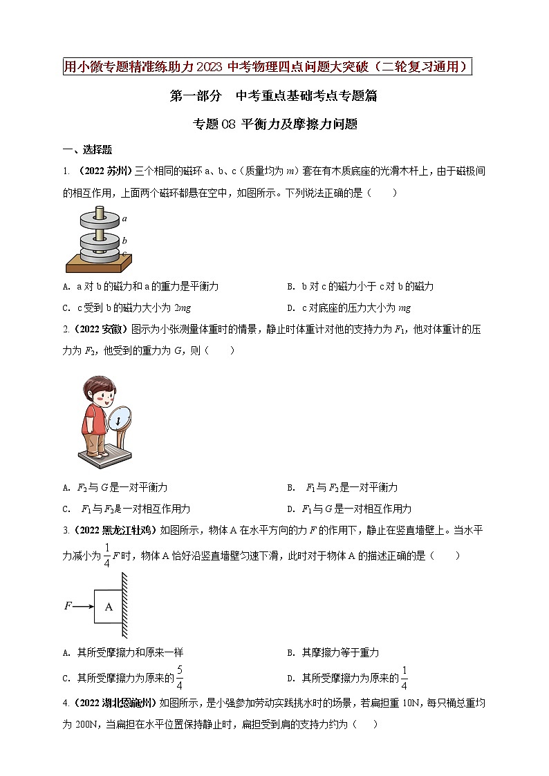 初中物理中考复习 专题08 平衡力及摩擦力问题（原卷版）第1页