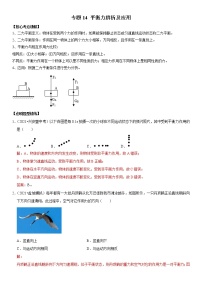 初中物理中考复习 专题14 平衡力辨析及应用（解析版）-2022年中考物理二轮专项复习核心考点突破与必刷题型汇编（全国通用）