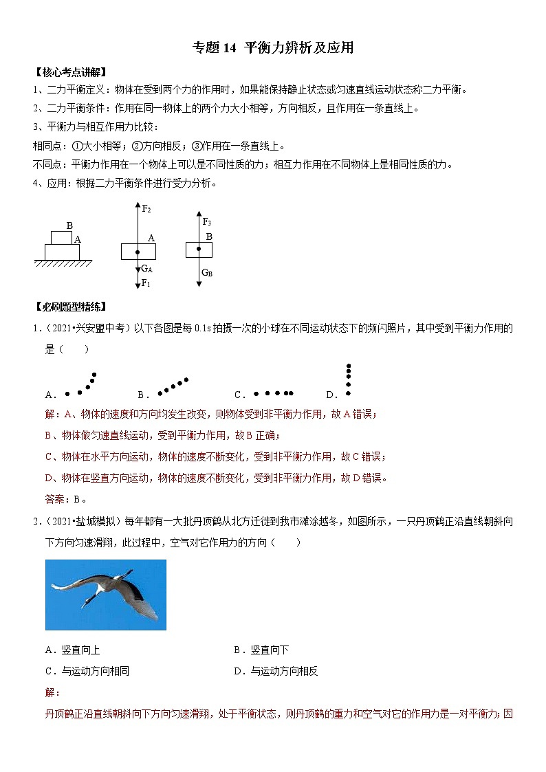 初中物理中考复习 专题14 平衡力辨析及应用（解析版）-2022年中考物理二轮专项复习核心考点突破与必刷题型汇编（全国通用）第1页