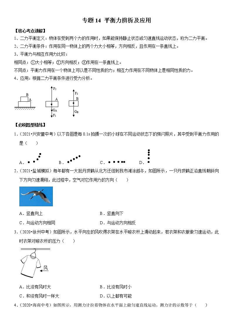 初中物理中考复习 专题14 平衡力辨析及应用（原卷版）-2022年中考物理二轮专项复习核心考点突破与必刷题型汇编（全国通用）第1页