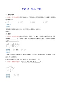 初中物理中考复习 专题18  电压 电阻（解析版）