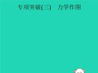 初中物理中考复习 课标通用中考物理总复习第一编知识方法固基专项突破3力学作图课件