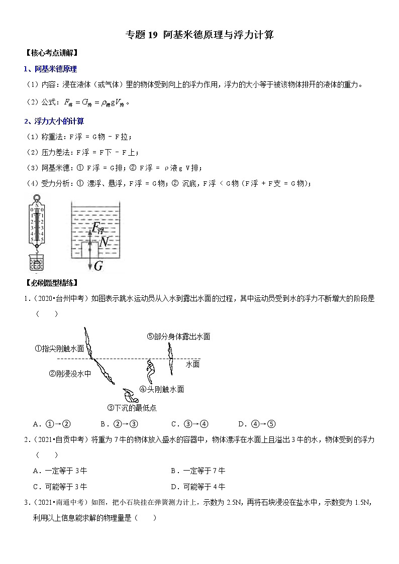 初中物理中考复习 专题19 阿基米德原理与浮力计算（原卷版）-2022年中考物理二轮专项复习核心考点突破与必刷题型汇编（全国通用）第1页