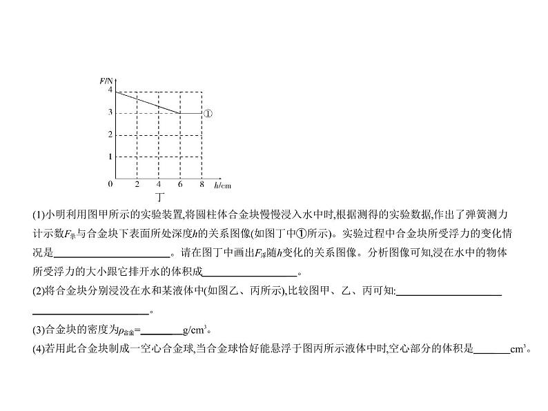 初中物理中考复习 专题七 浮力课件PPT08