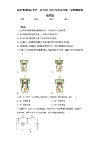 河北省邯郸市大名一中2022-2023学年九年级上学期期末物理试题