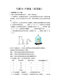 专题01 声现象- 中考物理实验与探究专题训练（全国通用）