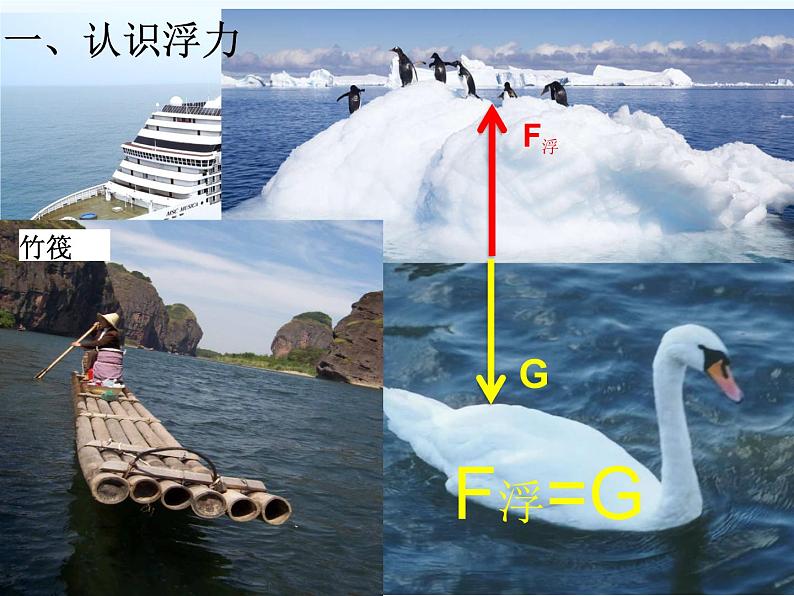 10.1浮力课件第3页