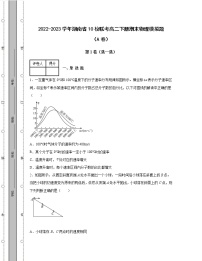 2022-2023学年湖南省10校联考八年级下册期末物理模拟题（AB卷）含解析