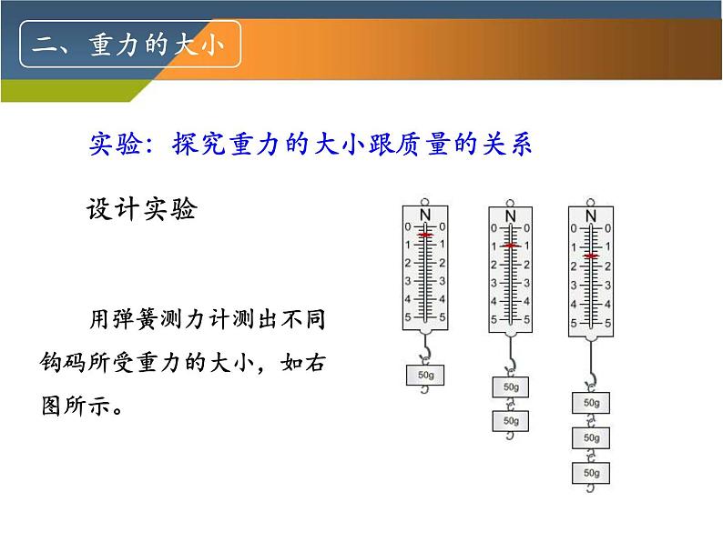 人教版八年级物理下册--7.3重力（课件3）第5页